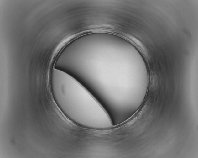 X0000112881196200908211045