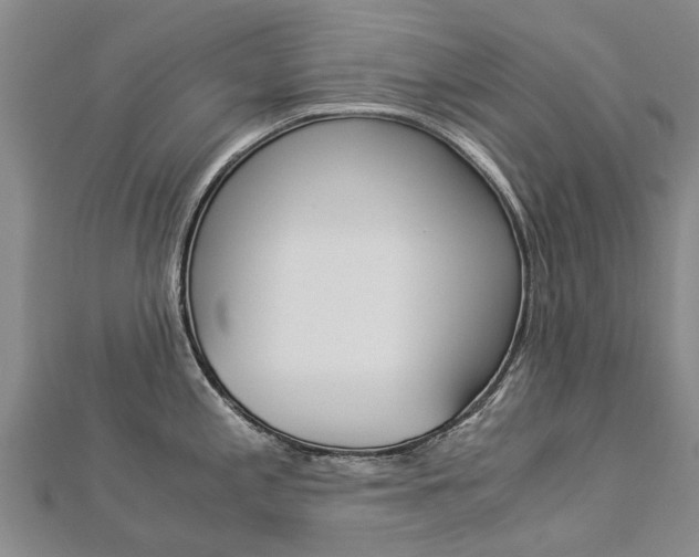 X0000112881197200908211045