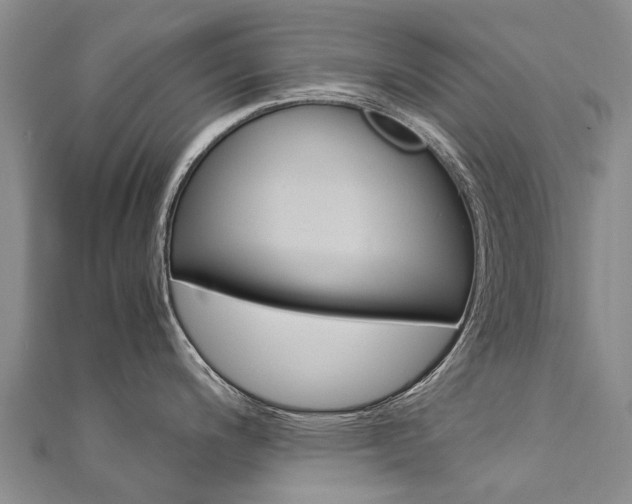 X0000112881200200908211045