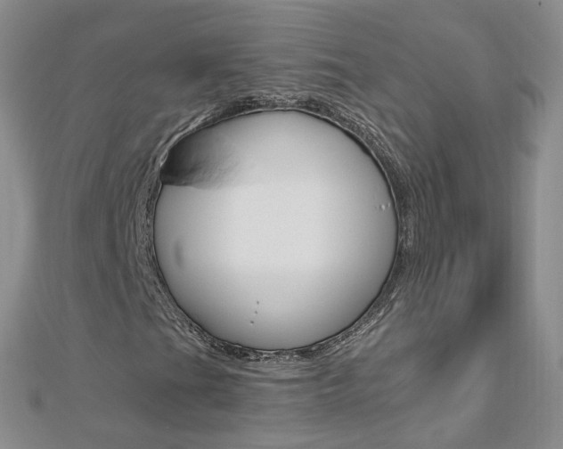X0000112881201200908211044