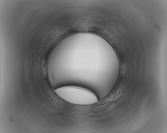 X0000112881202200908211044