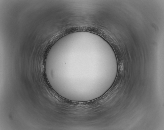 X0000112881204200908211044