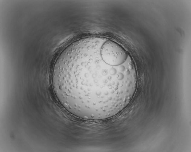 X0000112881205200908211044