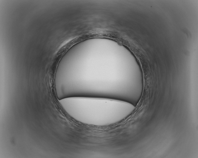 X0000112881206200908211044