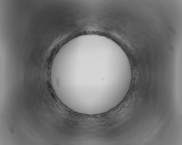 X0000112881207200908211044