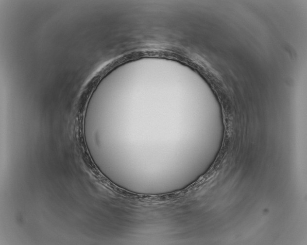 X0000112881208200908211044