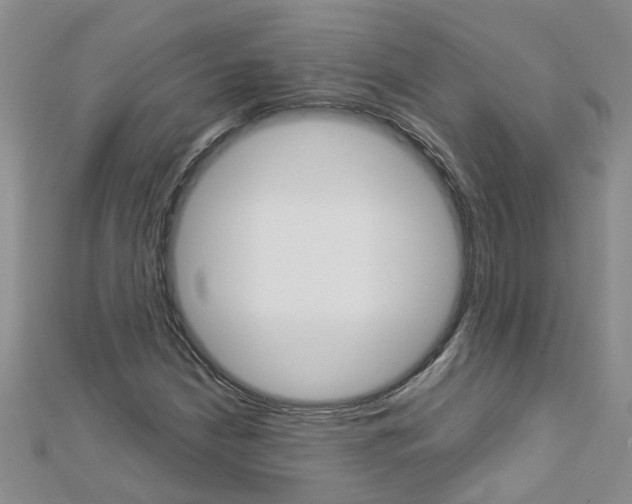 X0000112881210200908211044