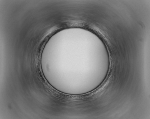 X0000112881211200908211044