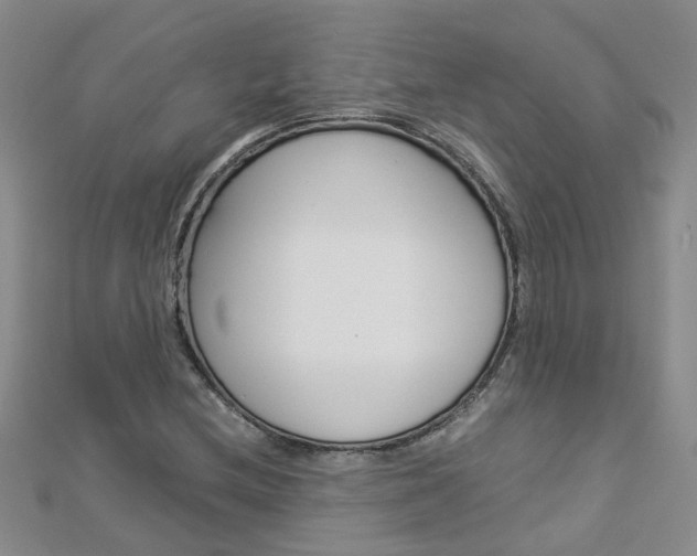 X0000112881212200908211044
