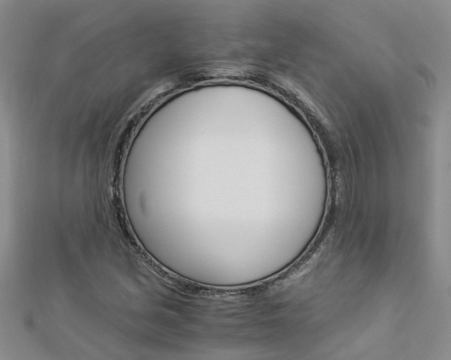 X0000112881213200908211044