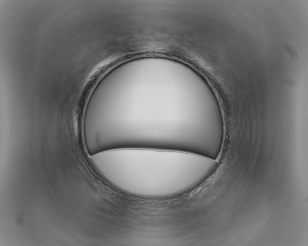 X0000112881214200908211044