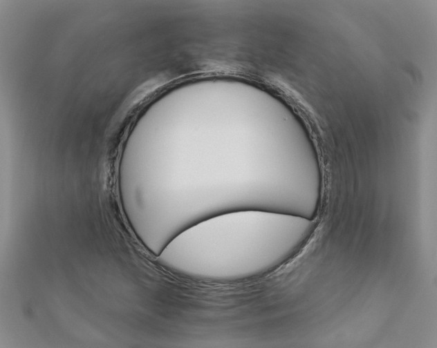 X0000112881215200908211044