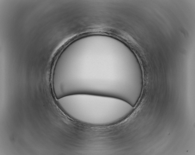 X0000112881216200908211044