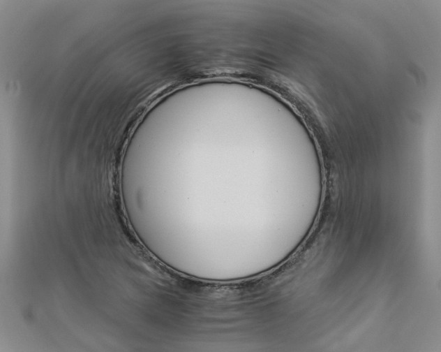 X0000112881217200908211044