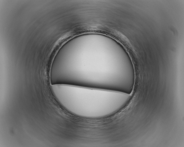 X0000112881218200908211044