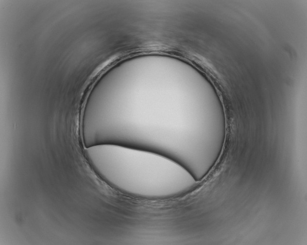 X0000112881220200908211044