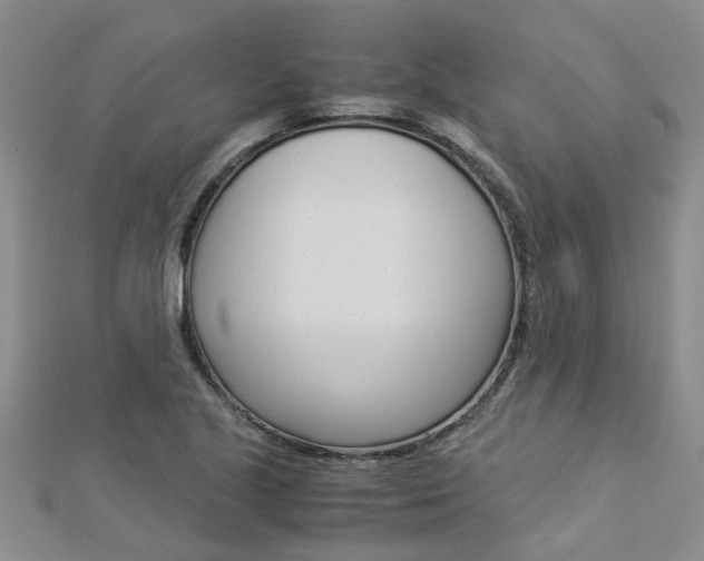 X0000112881221200908211044