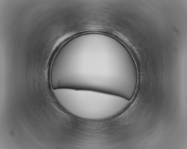 X0000112881222200908211044
