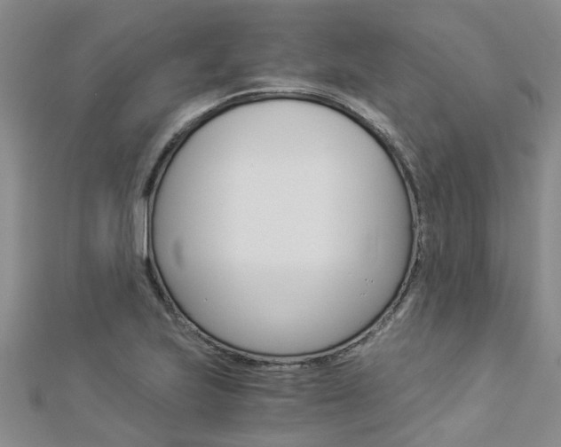 X0000112881223200908211044