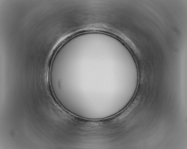 X0000112881224200908211044