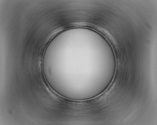X0000112881225200908211044
