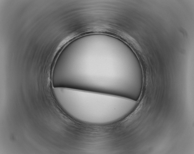 X0000112881226200908211044