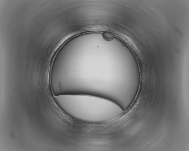 X0000112881228200908211044