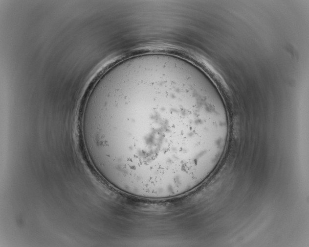 X0000112881229200908211044