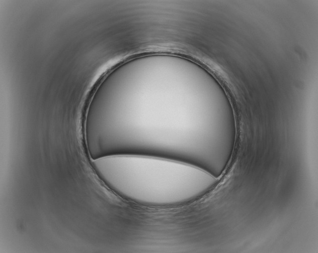 X0000112881230200908211044