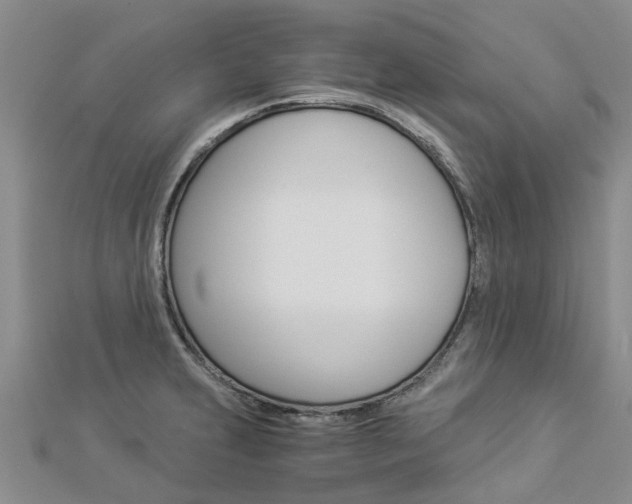 X0000112881231200908211044