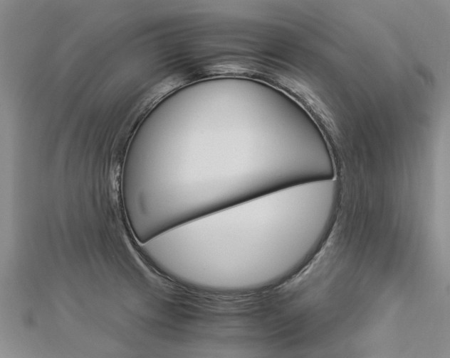 X0000112881233200908211044