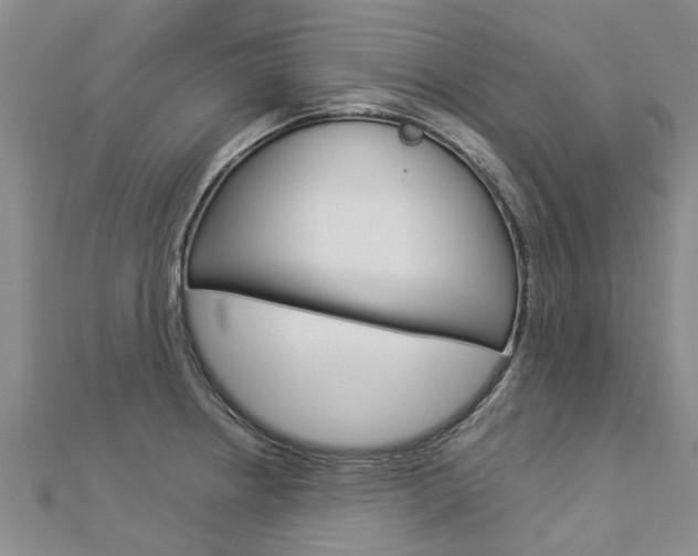 X0000112881234200908211044