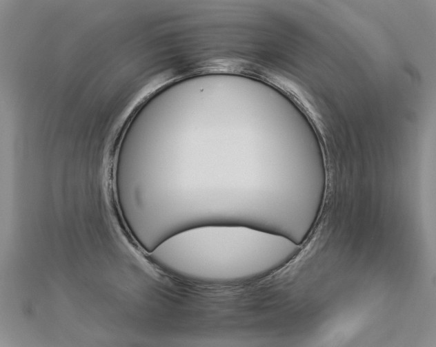 X0000112881235200908211044