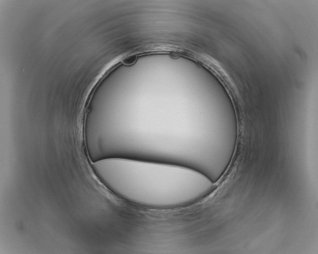X0000112881236200908211044