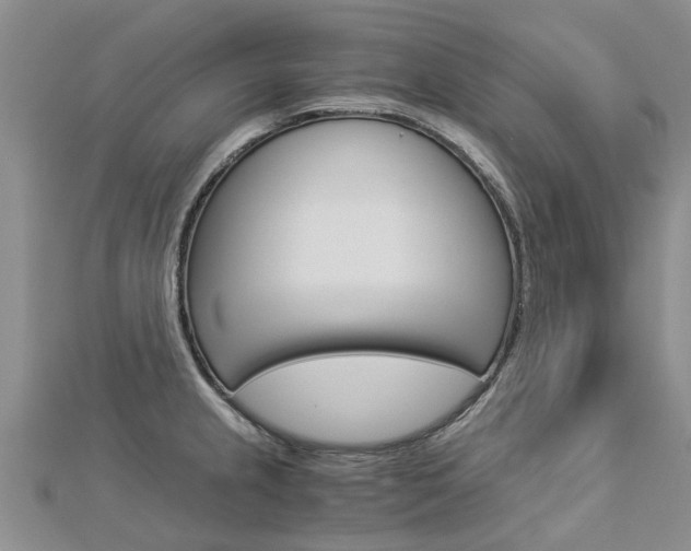 X0000112881237200908211044