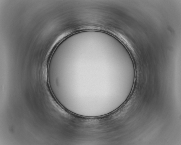 X0000112881238200908211044
