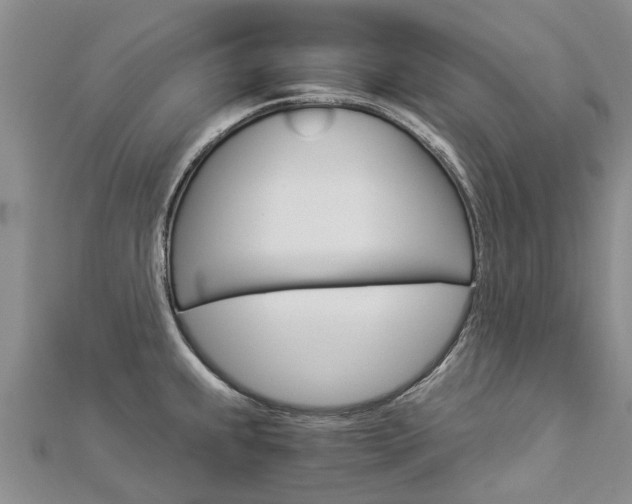 X0000112881239200908211044