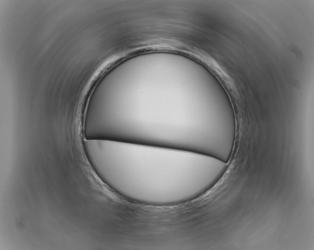 X0000112881240200908211044