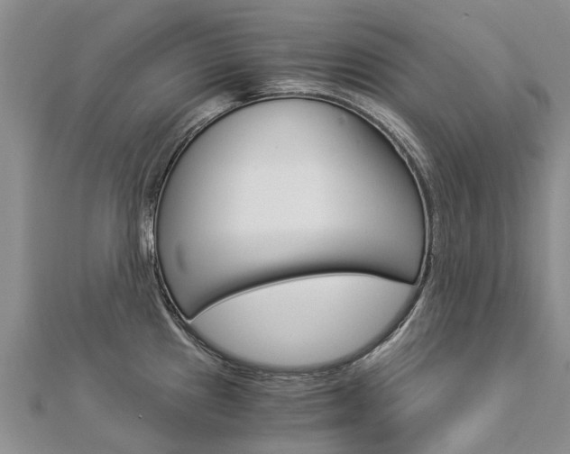 X0000112881241200908211044