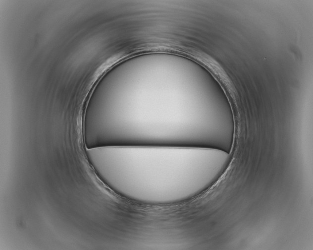 X0000112881242200908211044