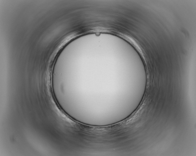 X0000112881243200908211044