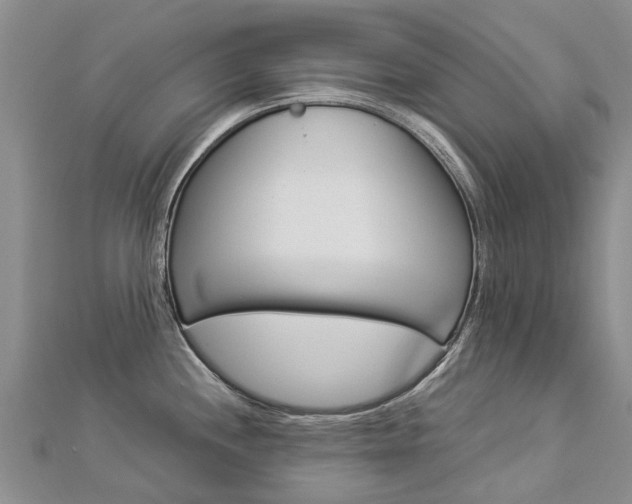 X0000112881244200908211045