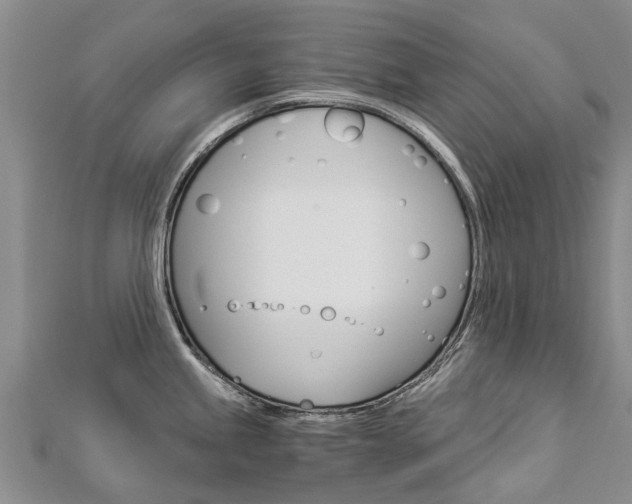 X0000112881245200908211045