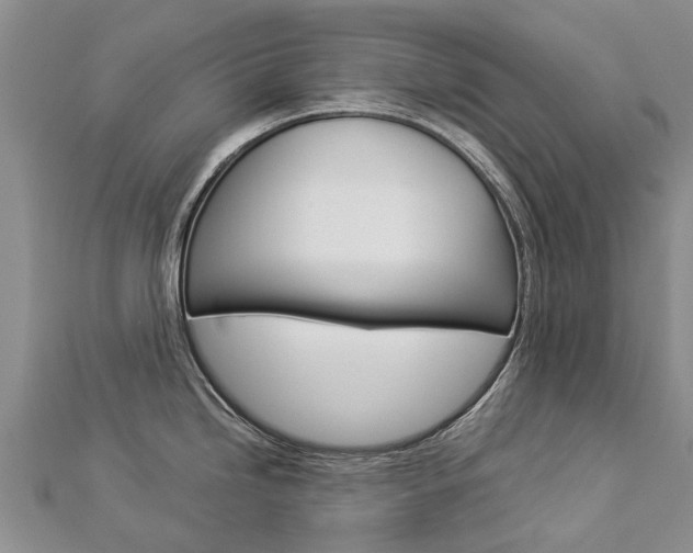 X0000112881246200908211045