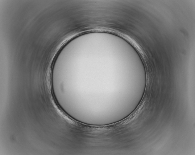 X0000112881247200908211045