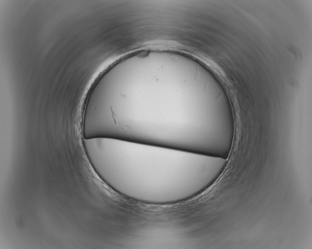 X0000112881248200908211045