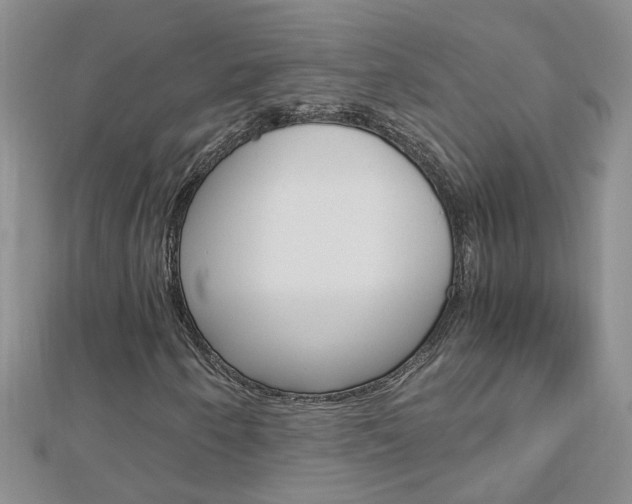 X0000112881250200908211044