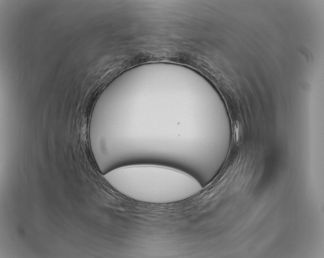 X0000112881251200908211044
