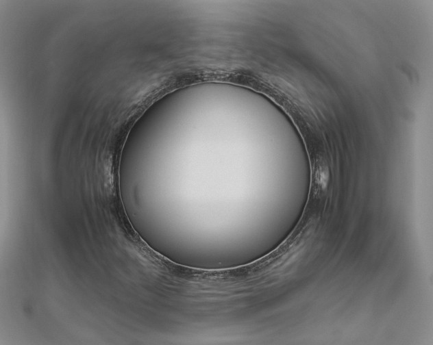 X0000112881252200908211044