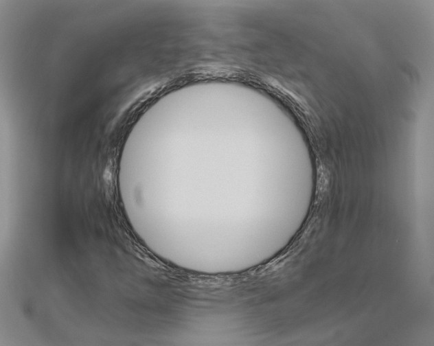 X0000112881254200908211044